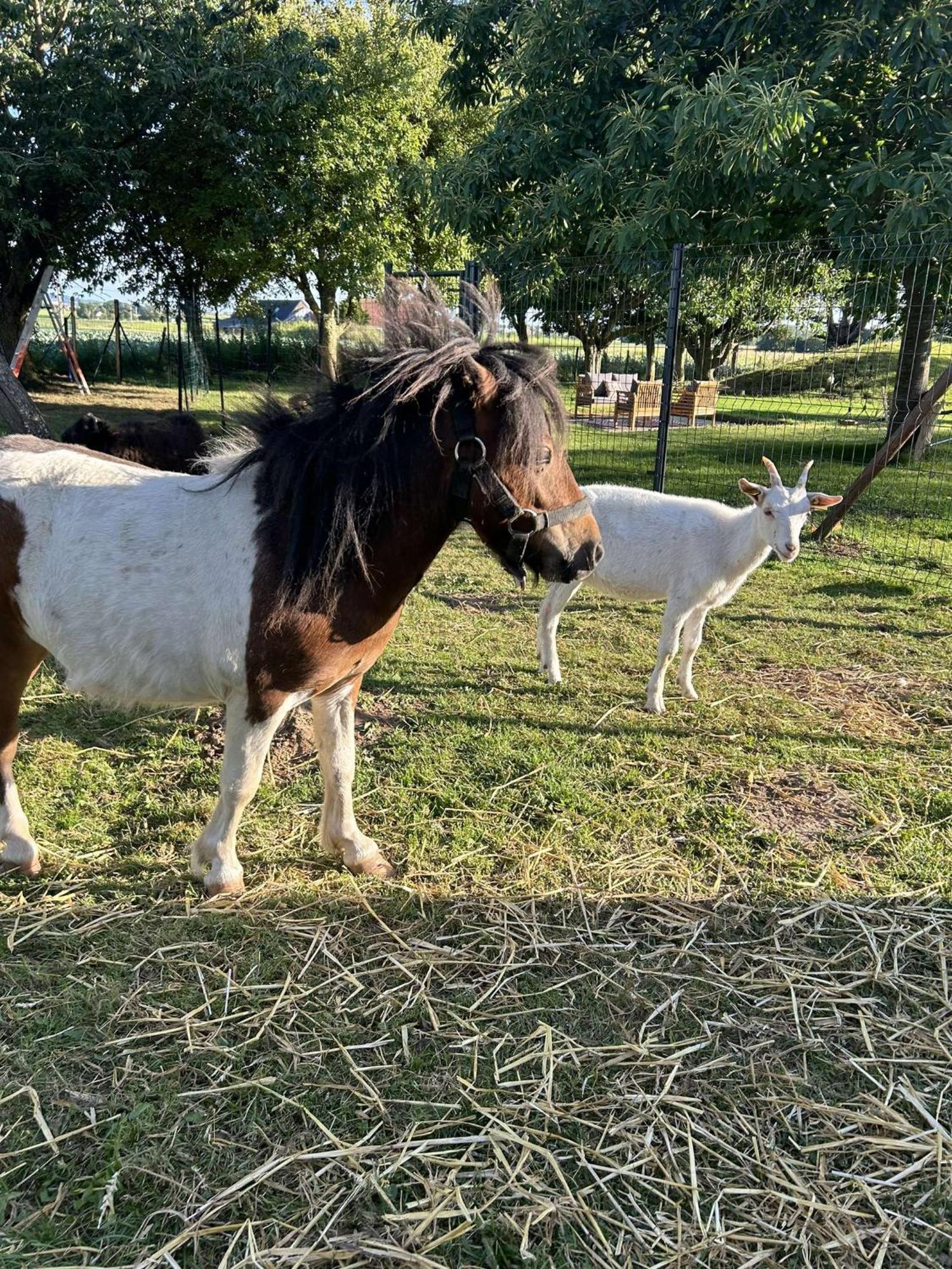 O Coeur Des Monts Et Merveilles Wormhout Dış mekan fotoğraf